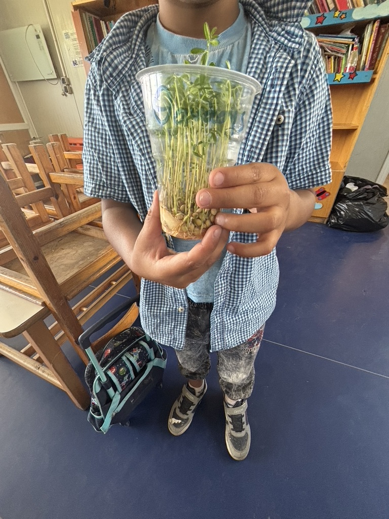 0B80A4B1-96F0-44B0-BF5C-F02280E3D9F8_1_105_c